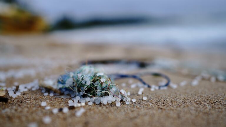 Mikroplastik, Foto: Sören Funk / Unsplash